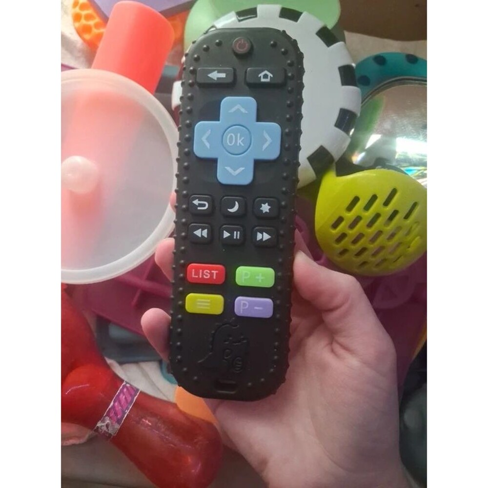 Teether remote toy
